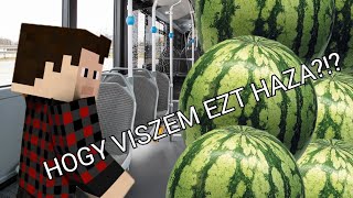 Dinnye szezon! (Történet)