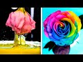 Kiat Bunga Menakjubkan || Kiat Mudah Menumbuhkan Tanamanmu