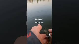 Спортивная рыбалка #shorts #спортивнаярыбалка #видеорыбалка