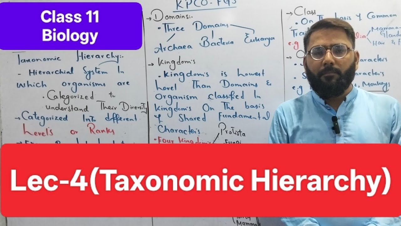 Taxonomic Hierarchy Explained | Levels of Classification | FSc Biology Class 11