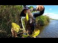 ESAYANDO UNA NUEVA TECNICA, MUCHO PIQUE "LAGUNA NEGRA" GUAVIARE-COLOMBIA