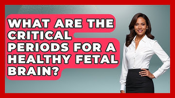What Are The Critical Periods For A Healthy Fetal Brain? - Brain Development Hub