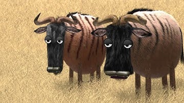 Savanna Version [ Wilder Beest] by Bird box