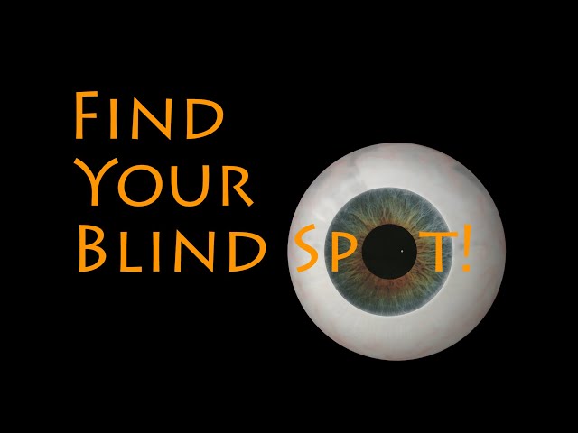 Map Your Blind Splot