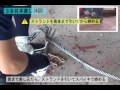 ワイヤーアイスプライス(巻き差し)