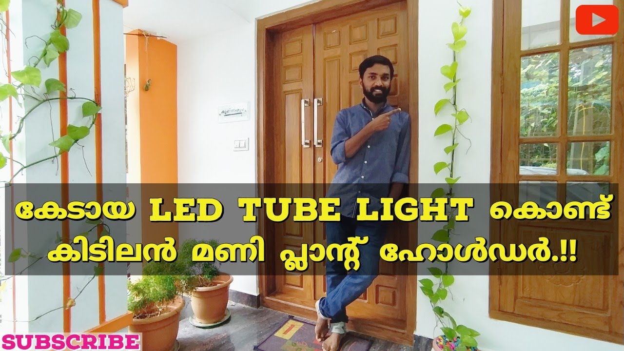 Money plant wall hanging tricks..!! | LED tube light | Money plant