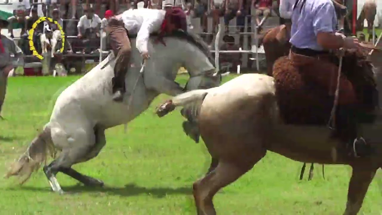 Caidas De Caballos Abierto De Hurlingham. Polo A La Inglesa: Lluvia,