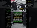 The Cat That Survived Three Shipwrecks 🐱 #WW2 #WorldWar2 #WarStories