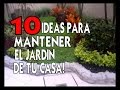 10 ideas para mantener el jardin de tu casa sin gastar mucho dinero!