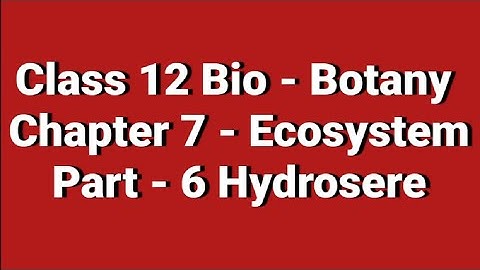 Class 12 / Bio - Botany/Chapter 7 - Ecosystem
