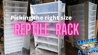 Choosing the Right Size Ball Python Rack