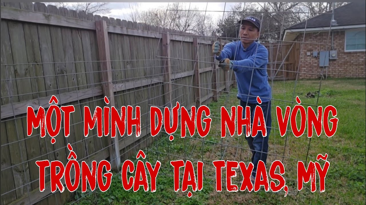 Một mình tự dựng nhà vòng để  trồng bầu, mướp, khổ qua cho vườn nhà chị ở Texas, Hoa Kỳ!