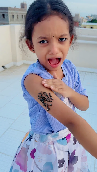 what happened to Koko 😳