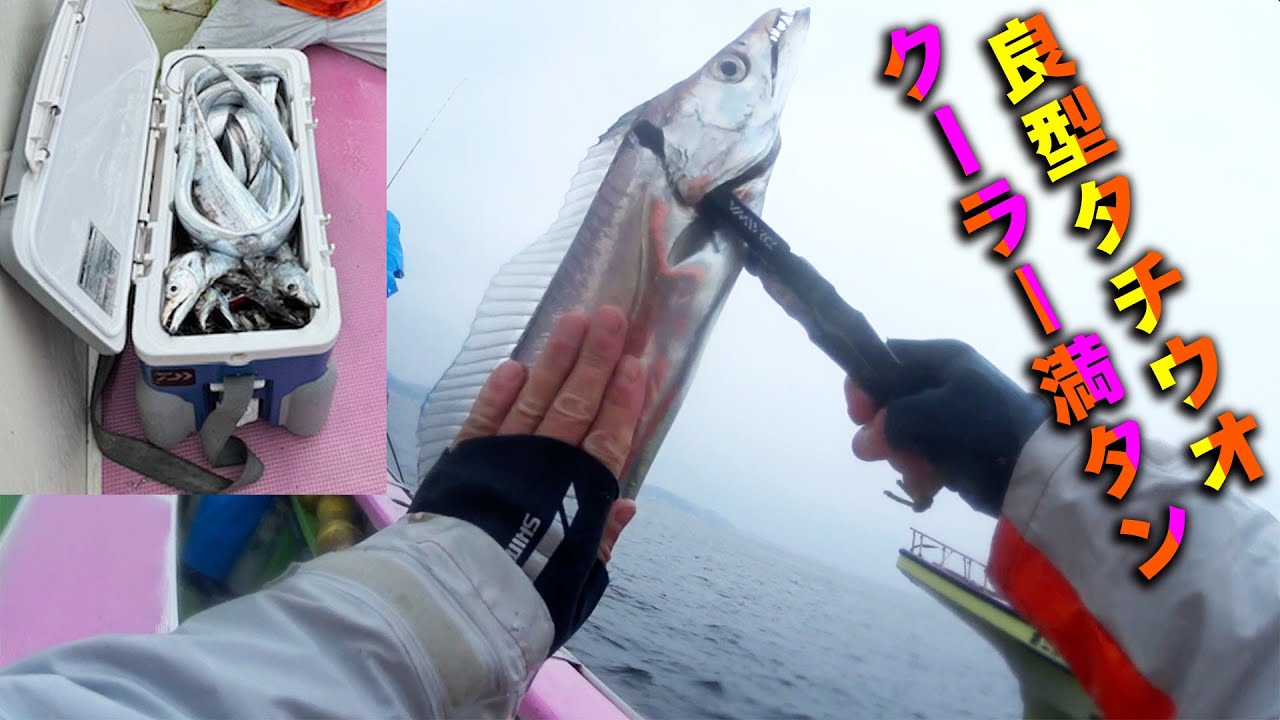 雨降る相模湾で沖のタチウオ釣り【指4本5本がクーラーボックス満杯はアタリマェ〜!!】ウソでしょ〜「ウソじゃないわよｗ」