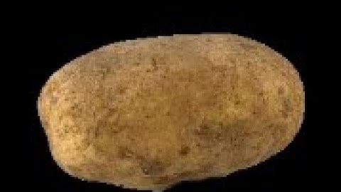 EIPIC ALED WHIT INVISIBLE ENTITIES