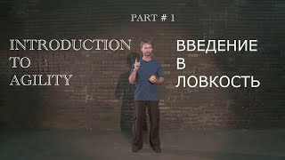 Введение в ловкость. Part 1 (multiple subtitles)