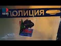 ⭕️ Полиции не удалось остановить протестный автопробег в Хабаровске!
