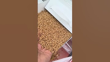 peanut shelling machine can #peanutshellingmachine #newpeanutshellingmachine #shorts #shortsfeed