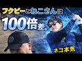 【第3話】ネコはフクピーより100倍上手い？？【上野原カントリークラブ】