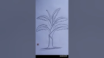 How to art banana tree? | art vidio | #shorts  #short #short #art #artist #artwork #reels