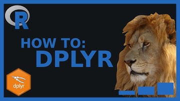dplyr tutorial | A quick guide to using dplyr in the wild