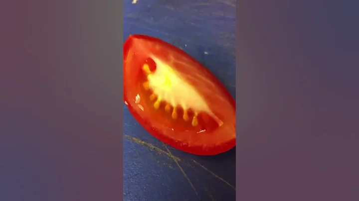 Tomato
