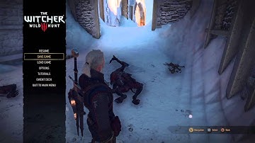 The Witcher 3: Through time and Space | Find the next passage