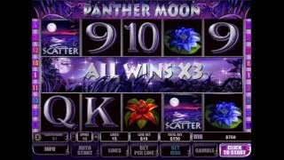 Panther Moon Slot - Big Win screenshot 5