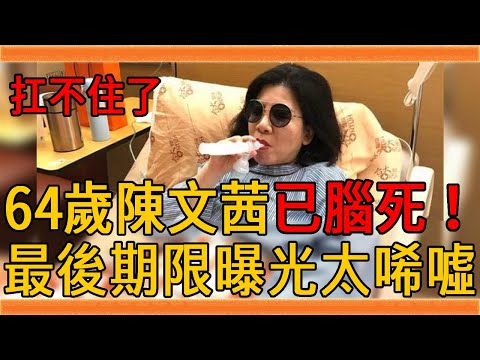 陳文茜撐不住了！驚曝已腦死臥床不能動，最後期限曝光讓人淚目#陳文茜 #蔡琴 #群星會