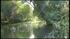 Le Marais Audomarois (Pas de Calais, Pays de Saint-Omer)