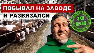 Гастро ЭКО тур и экскурсия на Егорлык Молоко Ростовская область
