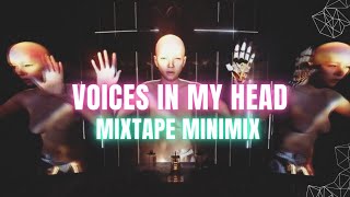 DJ VOICES IN MY HEAD IN 8 MIN !!