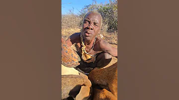 See How Shagembe Feed His Dogs Dudukwe Chaaba Trendingvideo SafariChanel Viralvideo Foryou 