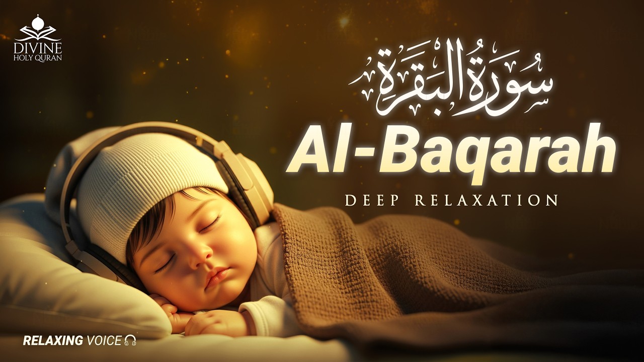 Surah Al-Baqarah سورة البقرة | Most Beautiful Voice Recitation for Inner Calm & Stress Relief #quran
