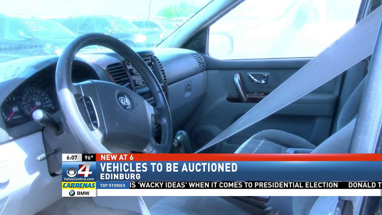 090816 Rod Robertson Auto Auction YouTube