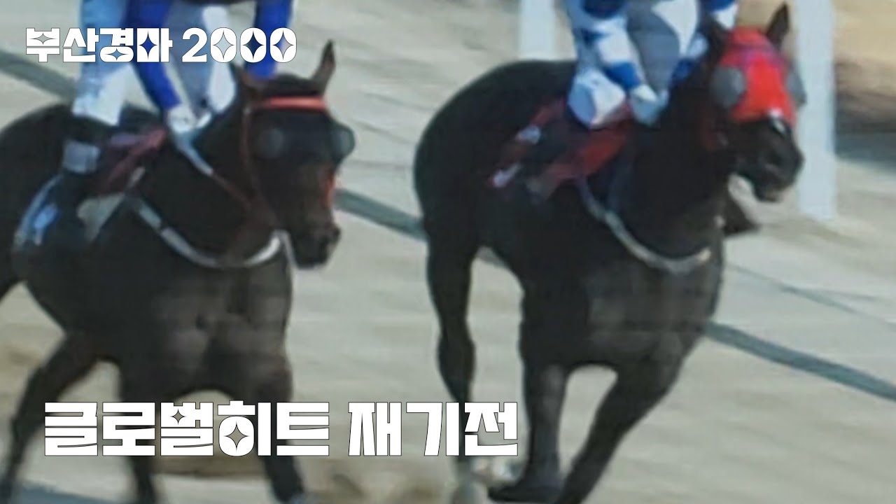 글로벌히트 재기전