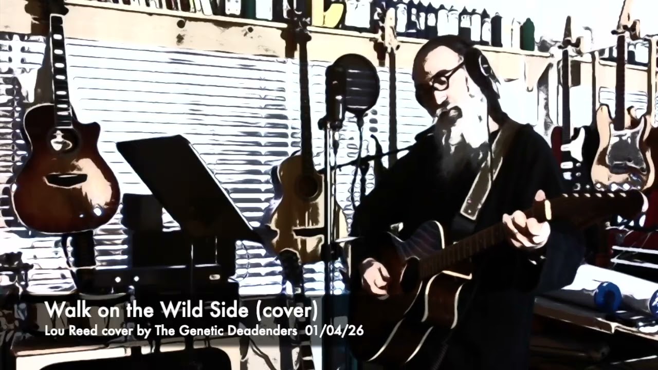 Walk on the Wild Side (cover)