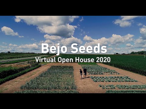 Bejo Seeds Virtual Open House 2020