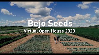 Download Lagu Bejo Seeds Virtual Open House 2020 MP3