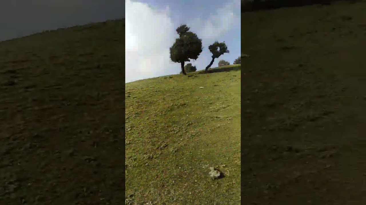 Nagtibba (Tehri Garhwal), Uttarakhand 