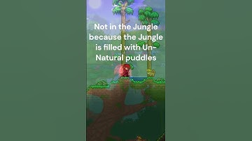 Secret way to find Floating Islands in Terraria! #short #new #terraria #secret #guide #tutorial