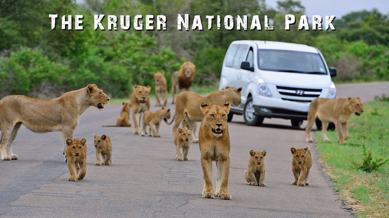 A true Kruger National Park experience - Around Tsendze and Mopani Camps