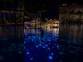 Would you swim here?✨ #portroyalvillasandspa #shorts #hotel