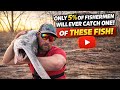 Only 5% of Fishermen Will Ever Catch THIS… (GIANT FISH)!!!