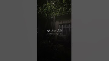 لقد نصركم الله في مواطن كثيرة | محمد صديق المنشاوي | سورة التوبة