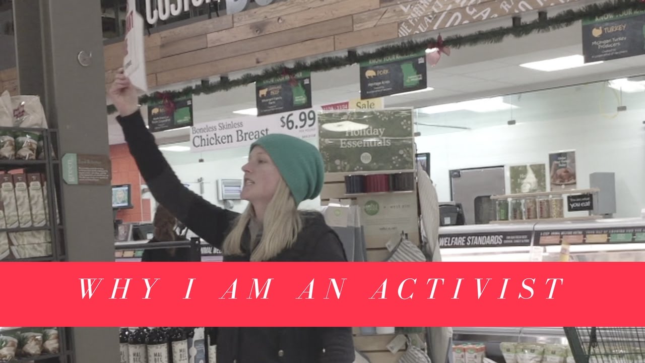 Why I am an activist for animals