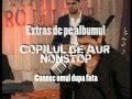 Sorin Copilul de Aur - Cunosc omul dupa fata  (RoTerra Music Oficial Video Hit)