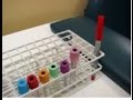 phlebotomy order of draw basic tubes april 25 2017 tuesday morning vlog
