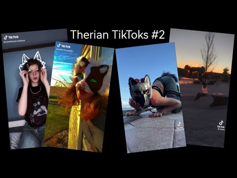 oque é therian br｜Pesquisa do TikTok