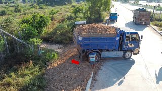 Download Lagu Amazing START Dump truck dumping soil clearing forest by expert skill bulldozer pushing \u0026 5T truck MP3 Download Lagu Amazing START Dump truck dumping soil clearing forest by expert skill bulldozer pushing \u0026 5T truck MP3